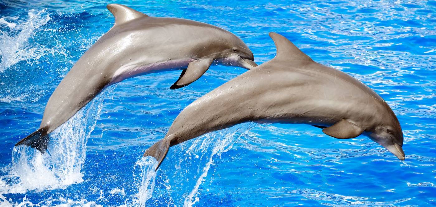 Best Things to Do in Destin, Florida This June